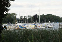 Ferch im kalten Herbst