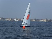 Kiwi auf dem Mggelsee