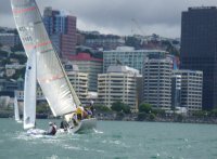 Skyline der Stadt Wellington von See aus mit Segelbooten
